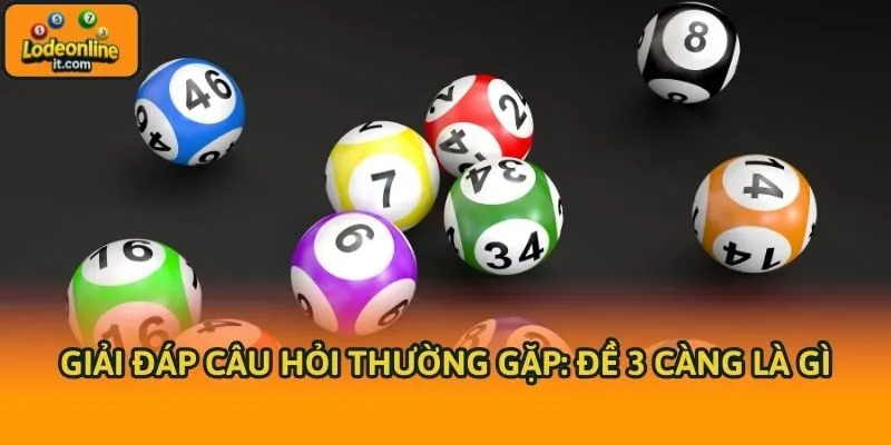 Giải đáp câu hỏi thường gặp: Đề 3 càng là gì