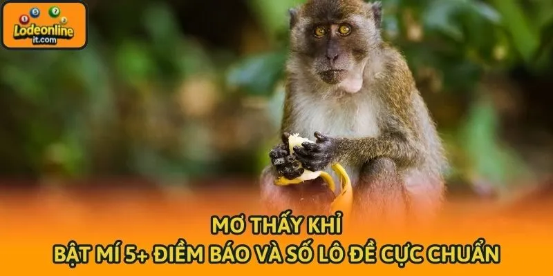Mơ Thấy Khỉ - Bật Mí 5+ Điềm Báo Và Số Lô Đề Cực Chuẩn