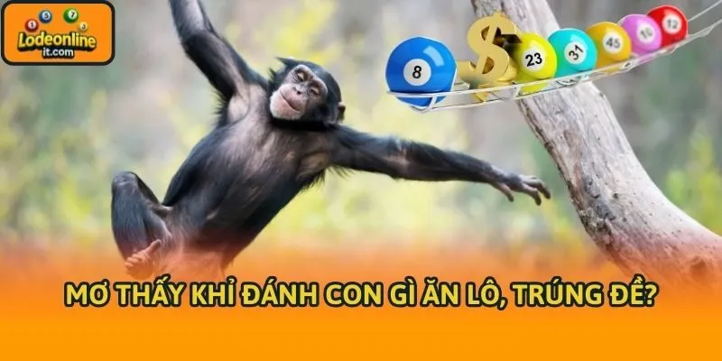 Mơ thấy khỉ đánh con gì ăn lô, trúng đề?